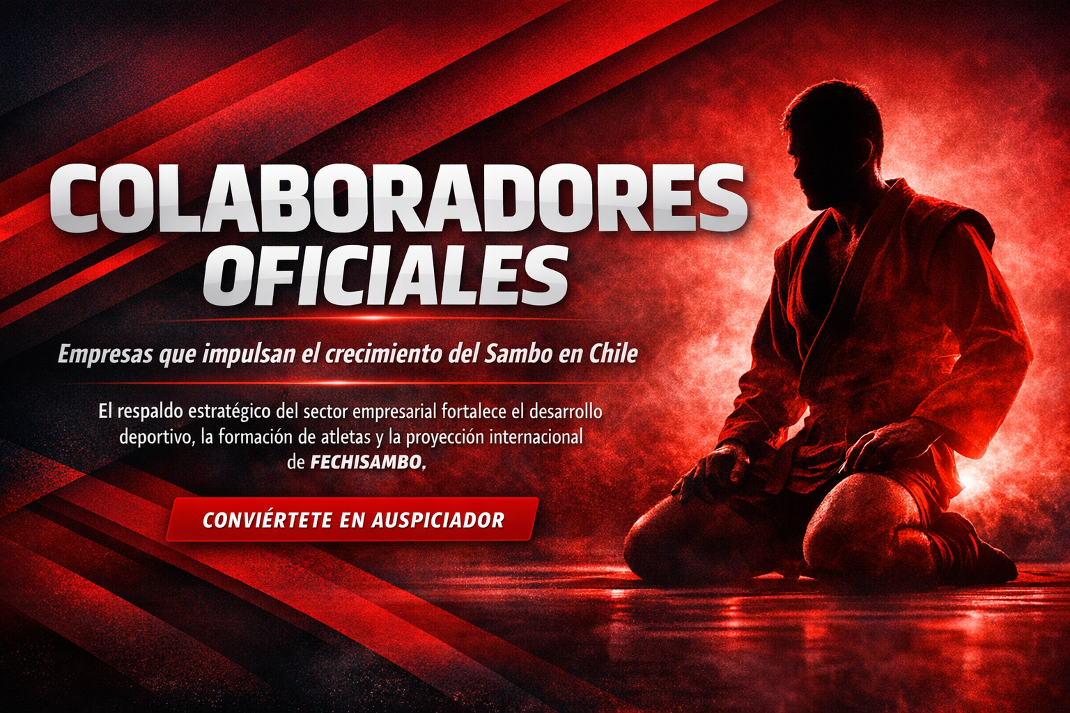 Auspiciadores